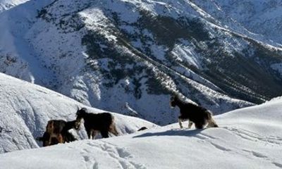 High Atlas Trek with Tizi n’Tamatert Pass and Tachedirt Lunch