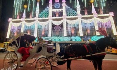 New York City Christmas Lights VIP Tour