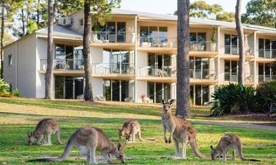 Gold Coast Wildlife and Waterways Private Tour from Brisbane