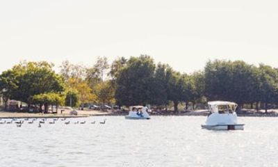 Lake Balboa Swan Boat Rental in Van Nuys