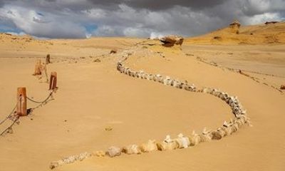 Tour To El Fayoum From Cairo