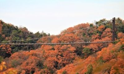 Explore Iwafune Shrine Osaka Bus Tour