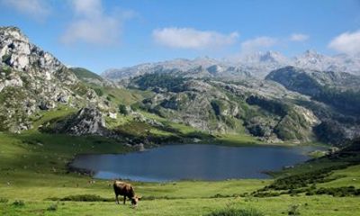 Private tour of the Lakes of Covadonga and Cangas de Onís