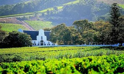 Stellenbosch Wine Tour with 3 Tastings and Chocolate Pairing