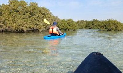 Kayaking and Bird Watching Tour at Purple Island