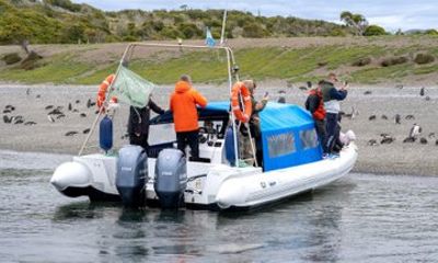 Full Day Almanza and Beagle Channel: A Unique Encounter with Penguins