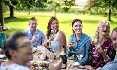 Full-Day Wine Tour from Picton