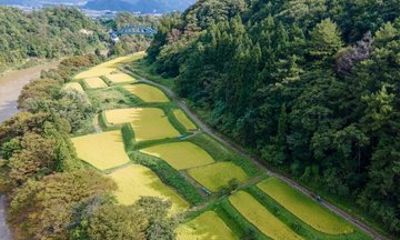 From Tokyo: Self-Guided Countryside Cycling Tour in Nagano