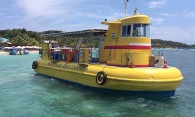Roatán Semi-Submarine, Wildlife Encounter & Beach Break