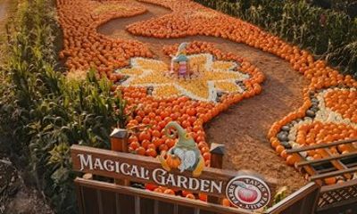 Tour from Fraser Valley Family Farm to Pumpkin House with Guide