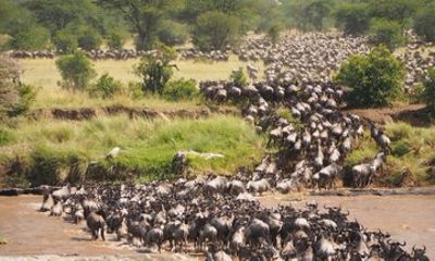 Exclusive Private Lake Nakuru 4 Days Tour