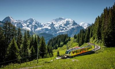 Mürren and Lauterbrunnen Private Rail Tour