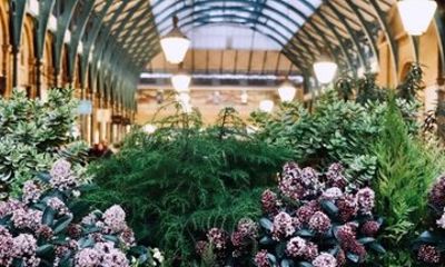 Sex in the City - A Scandalous History of Covent Garden
