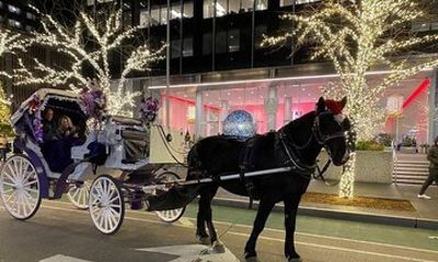 Magical Rockefeller Christmas Lights Horse Carriage Ride