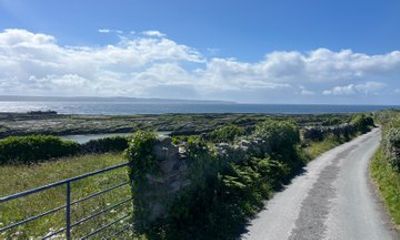 Abbeyleix Chauffeur Services Guided Experiences