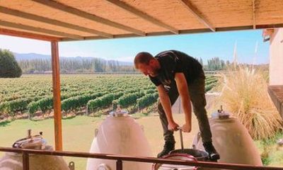 Riccitelli Wines Tasting Experience in the Andes
