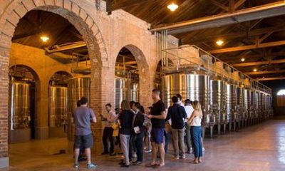 Explore Mendoza Wine Country by Car
