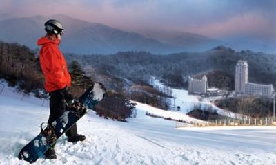 Phoenix Pyeongchang Ski and Snowboard Winter Day Tour from Seoul