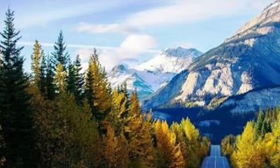 Full Day Banff Tour Peyto Lake Emerald Lake and Marble Canyon