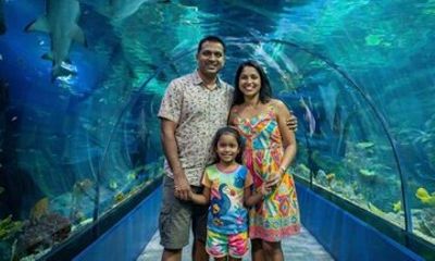 Odysseo Oceanarium Mauritius Admission Ticket