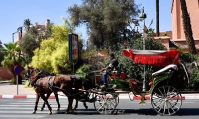Marrakech Royal Heritage Palaces Carriage and Dar El Bacha