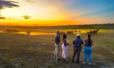 Victoria Falls 6Hour Chamabondo/Zambezi NP Sunset Sunrise Safari