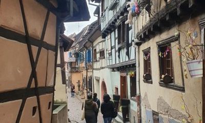 Alsace Villages and Wine Tasting Day Trip