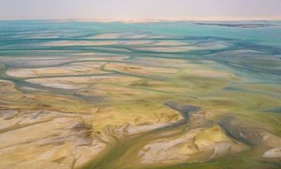 Doha Desert Safari and Inland Sea Private Tour
