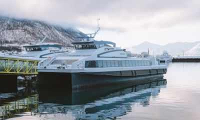 Whale Watching from Tromso on A Catamaran