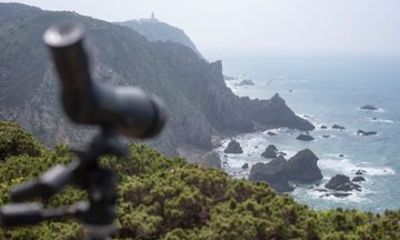 Sintra-Cascais Coastal Nature Walk Habitats and Wildlife