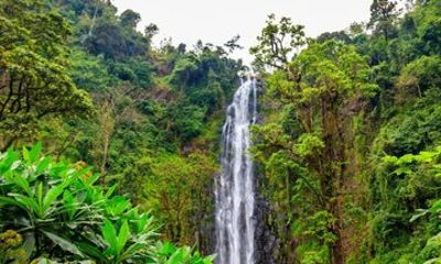 Materuni Waterfalls Coffee and Chemka Private Tour from Arusha