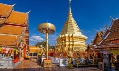 Chiang Mai Private Tour to Wat Umong