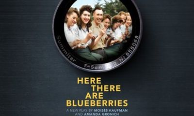 Here There Are Blueberries on Broadway Ticket