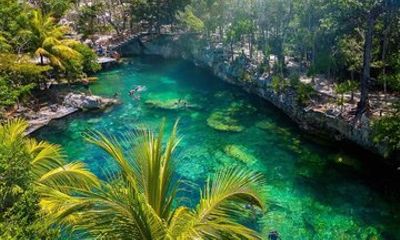 Tour Casa Tortugas 4 Cenotes with Entrance Fees and Transportation