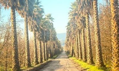 From San Antonio to Santiago with Kingston Wines