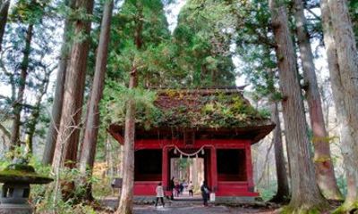 Togakushi Kodo Trek with an English-Speaking Local Guide