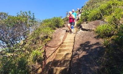 Adventure at Pico da Tijuca and waterfalls Nature and Views of Rio