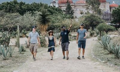 Mitla Express Guided Tour from Oaxaca
