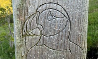 Runde, the Island of Atlantic Puffins.