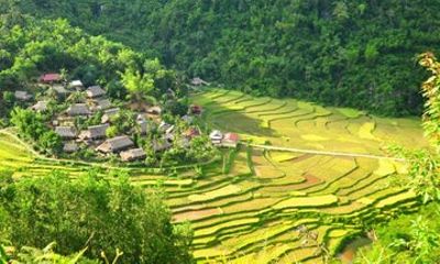 Mai Chau & Pu Luong 2-Day 1-Night Group Tour from Hanoi