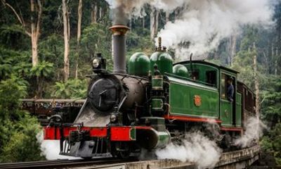 Private Puffing Billy and Penguin Parade Tour From Melbourne
