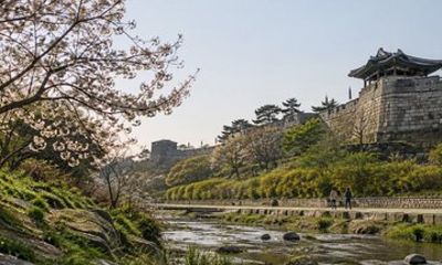 7 Hours Suwon Hwaseong and COEX Library Private Ride