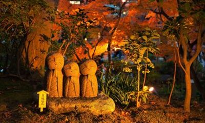 Kamakura Ancient Trails and Coastal Tales