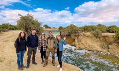 Fayum Oasis 4x4 Desert Safari Sand Surf and Waterfall Tour