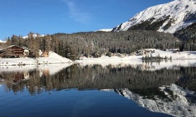 Direct Private Transfer from Zurich to Davos