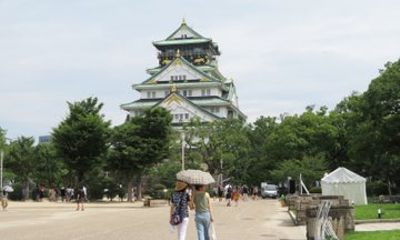 7 Day Japan Tour Tokyo Mt Fuji Kyoto Nara and Osaka