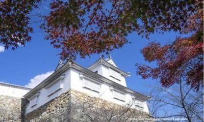 Nostalgic Tsuyama and Yunogo Onsen