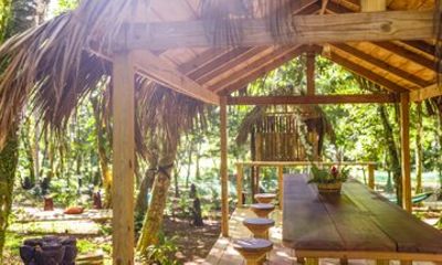 St. Kitts and Nevis Liamuiga Natural Coffee Farm