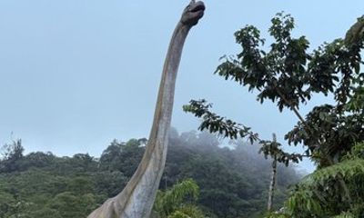 Dinoland Jurassic Rainforest Expedition