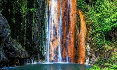 St Lucia Botanical Gardens, Tet Paul Nature Trail & Mud Bath Tour